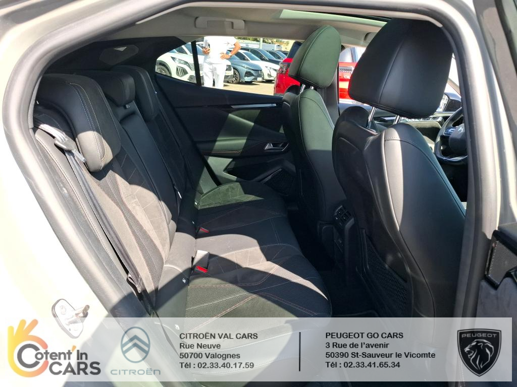 Ds DS 4 (2) PURETECH 180 PERFORMANCE LINE + AUTO