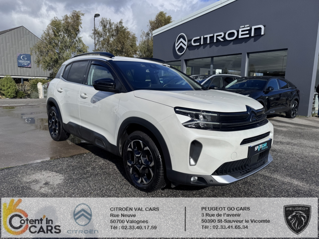 Citro�n C5 Aircross BlueHDi 130 S&S EAT8 Shine