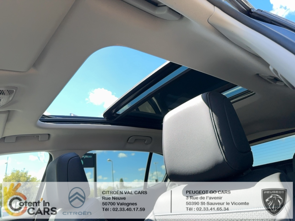 Citroën C5 Aircross BlueHDi 130 S&S BVM6 Shine