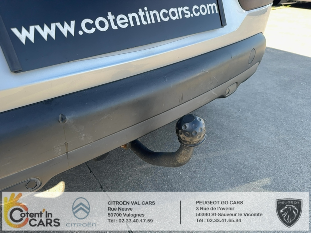 Citroën C4 Cactus 1,6l BlueHDi 100 S&S Shine