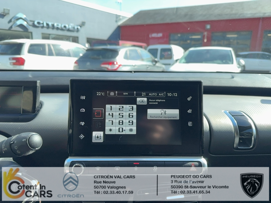 Citroën C4 Cactus 1,6l BlueHDi 100 S&S Shine