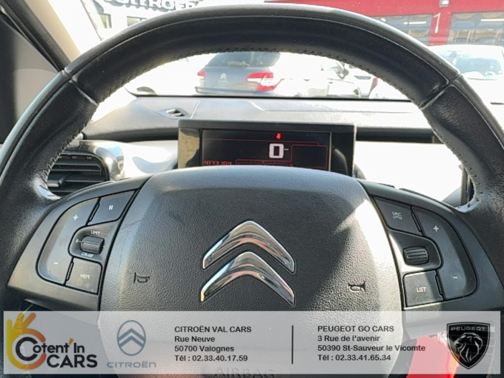 Citroën C4 Cactus 1,6l BlueHDi 100 S&S Shine
