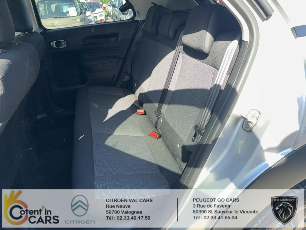 Citroën C4 Cactus 1,6l BlueHDi 100 S&S Shine