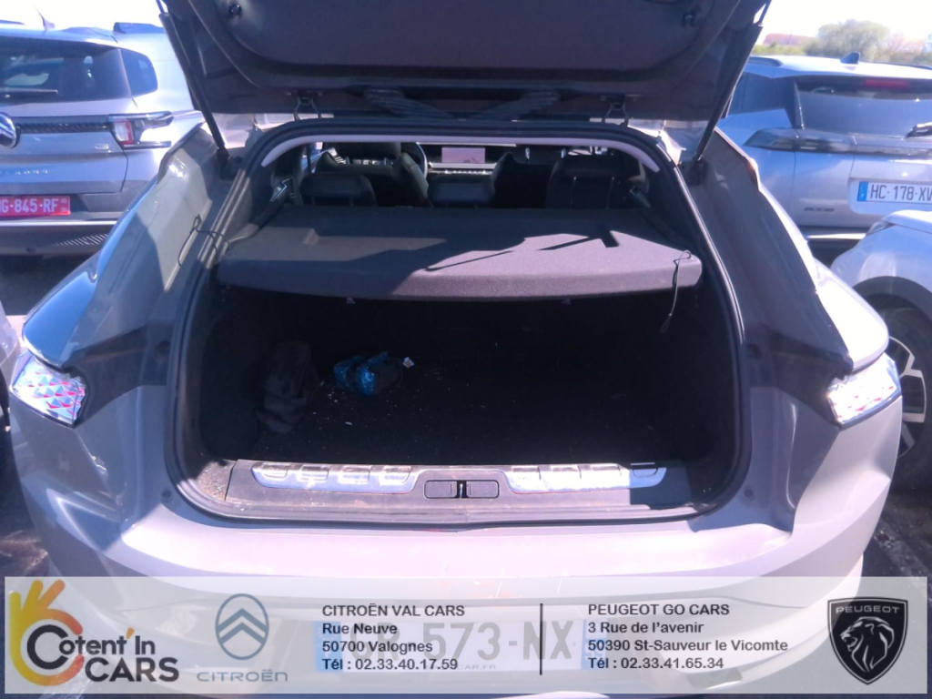 Ds DS 4 (2) BLUEHDI 130 RIVOLI AUTO