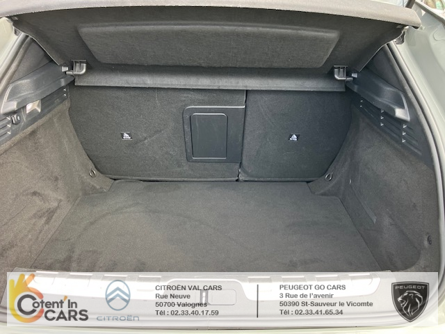 Ds DS 4 (2) BLUEHDI 130 RIVOLI AUTO