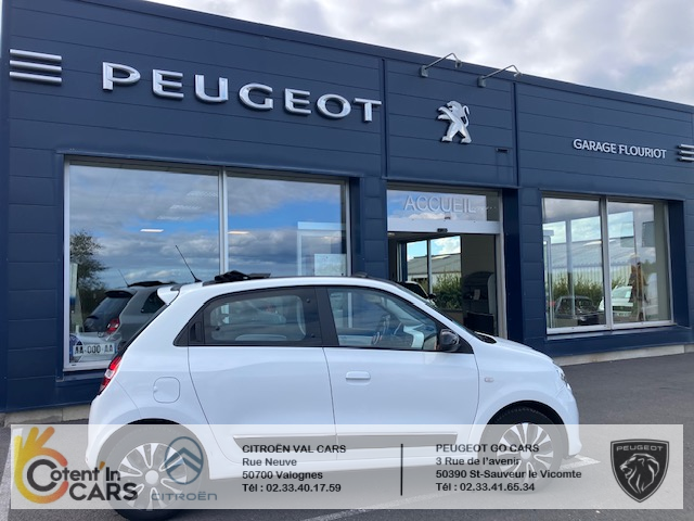 Renault Twingo (3) Hipanema Tce 90 EDC