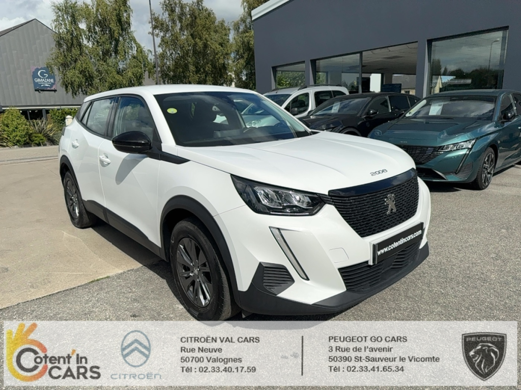 Peugeot 2008 (2) BLUEHDI 110 S&S ACTIVE PACK