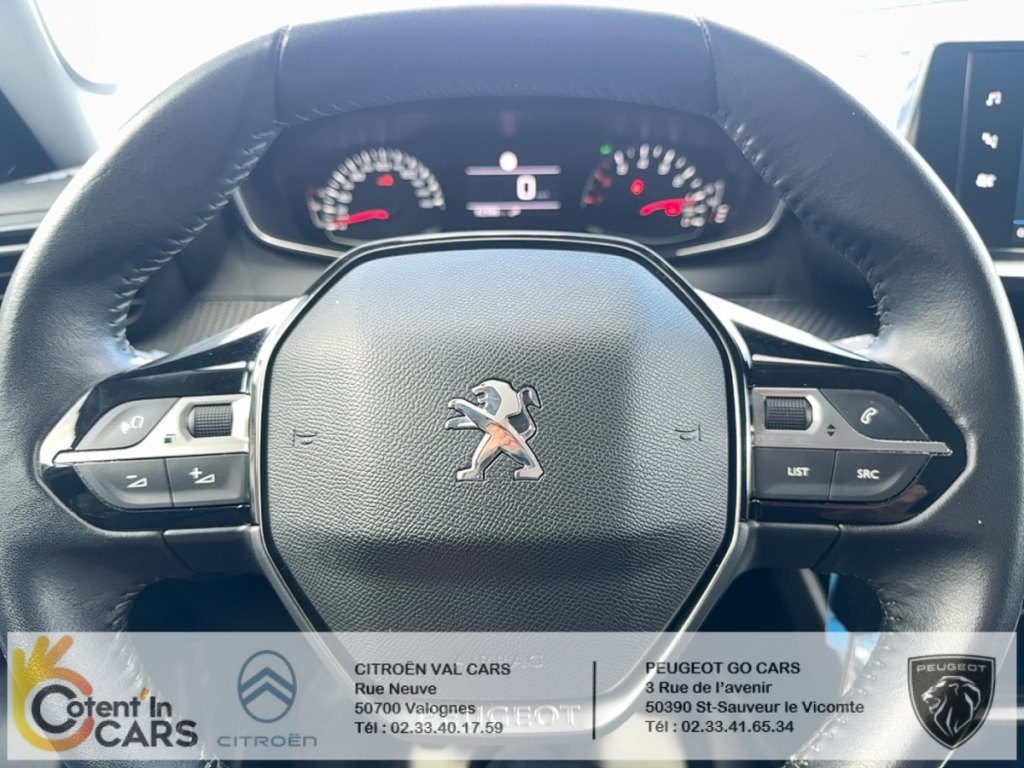 Peugeot 2008 (2) BLUEHDI 110 S&S ACTIVE PACK